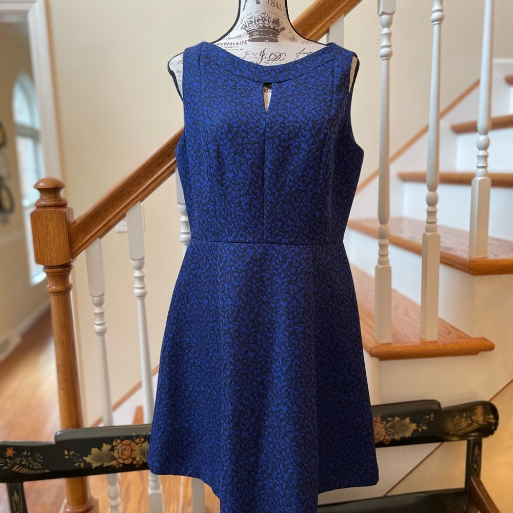 TAHARI Blue Black A-Line dress ~ 12p